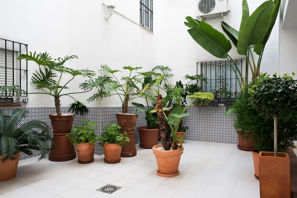 Urbanchicmalaga 3 Bedroom Spacious Quiet Historic Malaga Apt Екстериор снимка